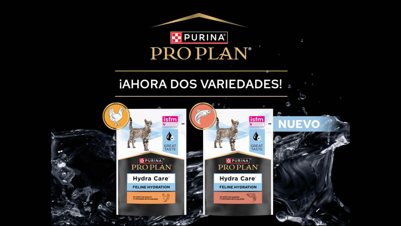 HC Nuevo lanzamiento noticias