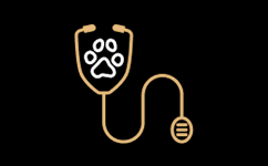 Soy Veterinario