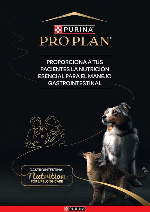 Folleto Megabrand Gama Gastrointestinal