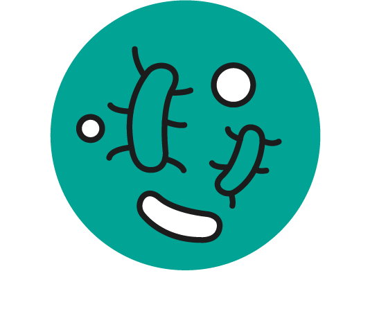 Microbioma
