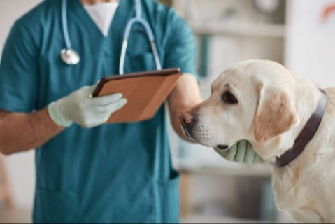 Using open-ended questions to elicit accurate nutrition information