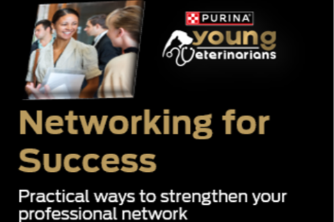Networking for Success