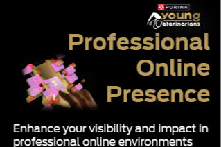 Professional Online Presence