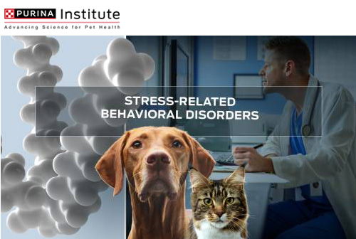 Trastornos del comportamiento relacionados con el estrés