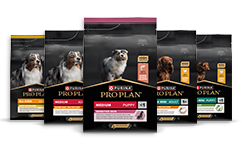 Canine Pro Plan Perro