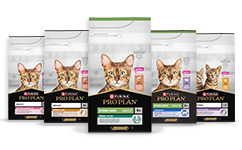 Feline Pro Plan Gato