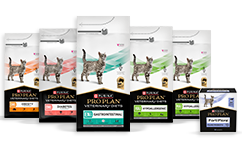 Dietas Veterinarias Felinas