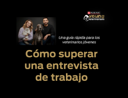 Cómo superar una entrevista de trabajo