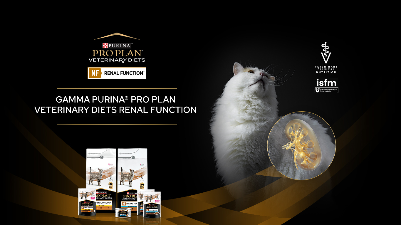 Productos Purina Pro Plan Veterinary Diets NF Renal Function para gatos, con un gato y una ilustración de la salud renal