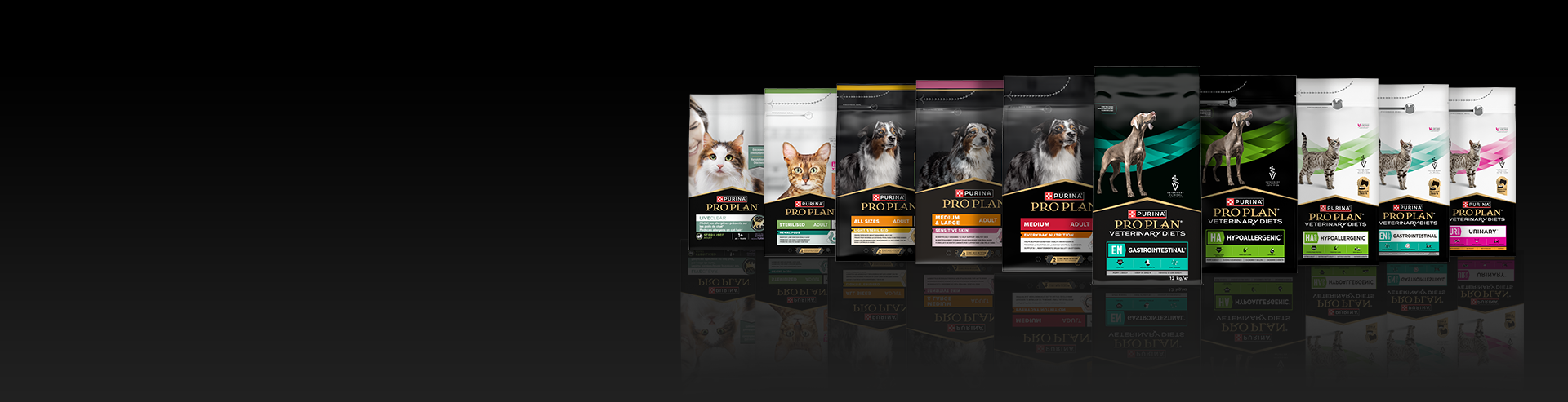 banner de productos