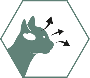 Ayuda al desarrollo saludable de la visión y el cerebro gracias al DHA