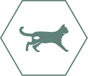 Mantiene la salud urinaria en gatos esterilizados gracias a unos minerales equilibrados