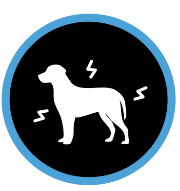 Demostrado que ayuda a los perros a afrontar estresores externos