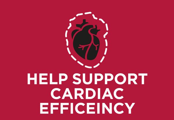 Ayuda a apoyar la insuficiencia cardíaca