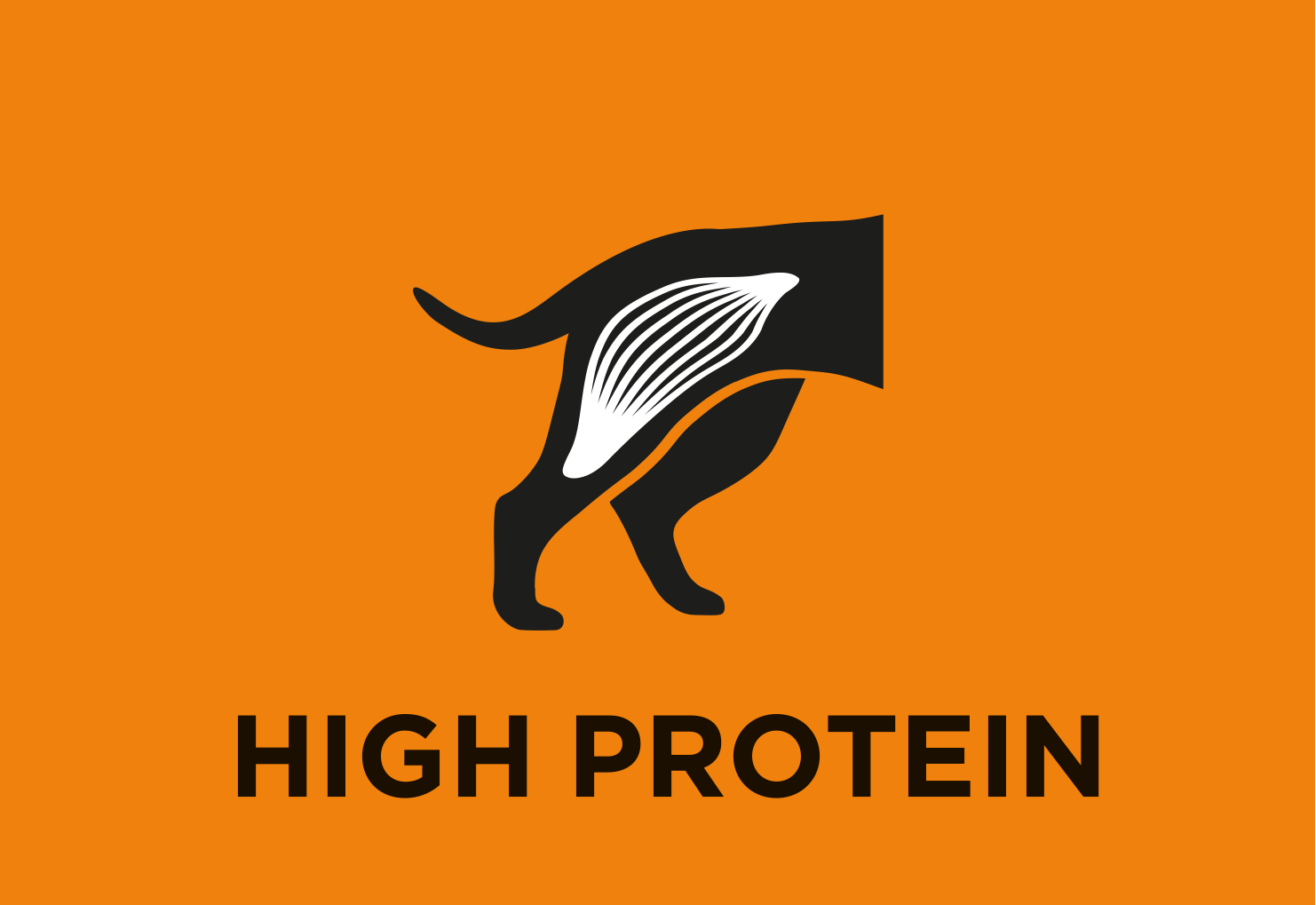 Contenido elevado de proteína