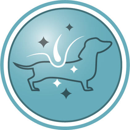 Ayuda a mantener el pelaje de tu perro bonito y brillante, desde la raíz hasta la punta