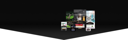 Gama de productos banner