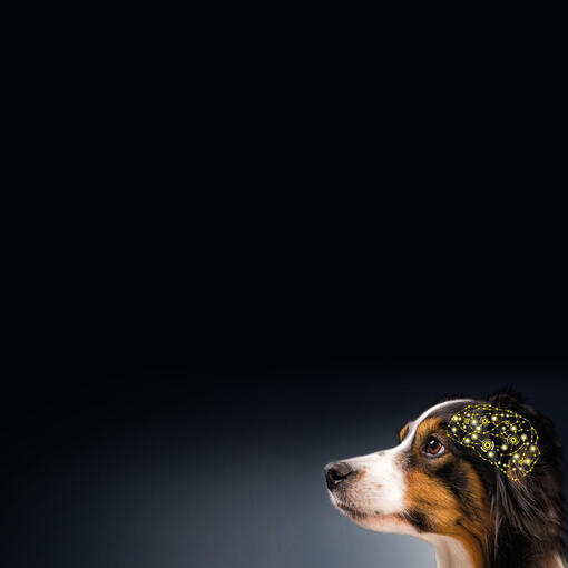 Evaluación cognitiva