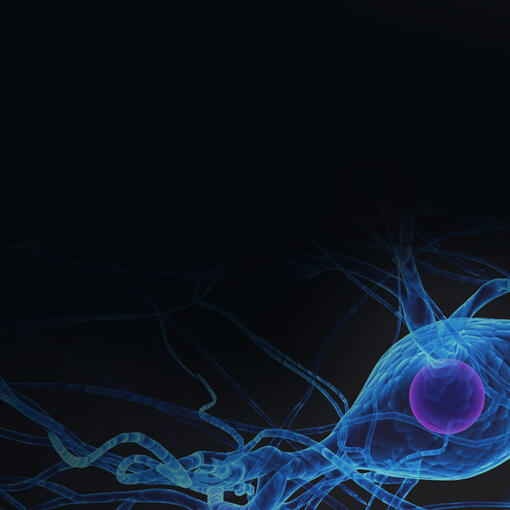 Publicaciones científicas