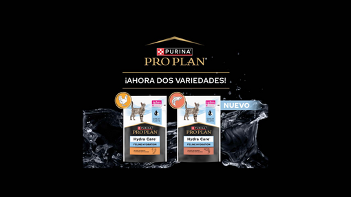 HC Nuevo lanzamiento noticias