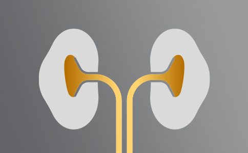 Enfermedad Renal