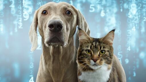 Explora el Futuro de la Nutrición y el Cuidado de las Mascotas potenciado por tecnologías avanzadas