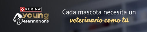 Bienvenidos, jóvenes veterinarios