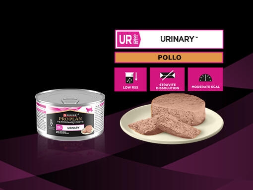 PURINA® PRO PLAN® VETERINARY DIETS Feline UR Urinary Mousse