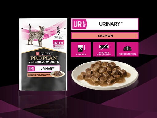 PURINA® PRO PLAN® VETERINARY DIETS Feline UR Urinary Sobres Salmón