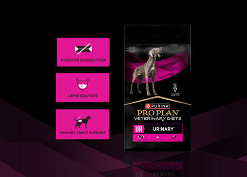 Dietas Veterinarias Caninas y productos relacionados PURINA® PRO PLAN® VETERINARY DIETS Canine UR Urinary