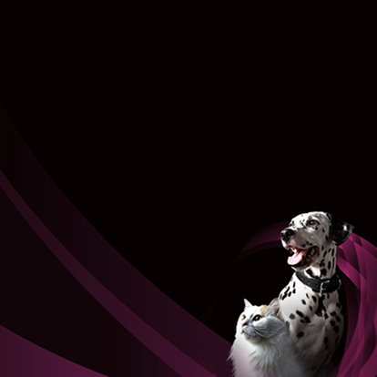 Cuidado especializado para apoyar  la salud urinaria