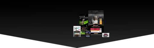  Gama de productos banner