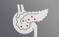 Endocrinología