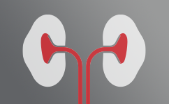 Enfermedad Renal