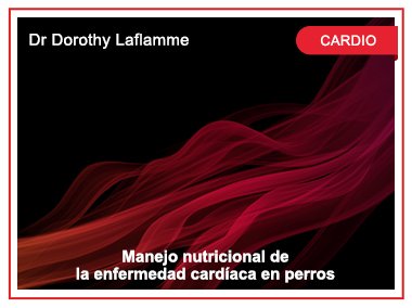 Manejo nutricional de la enfermedad cardíaca en perros. Dr Dorothy Laflamme